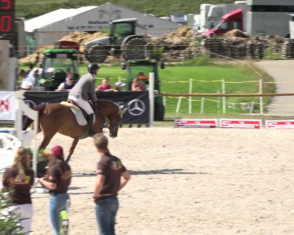 Reitturnier Zuoz 2019