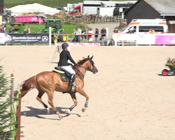 Reitturnier Zuoz 2019