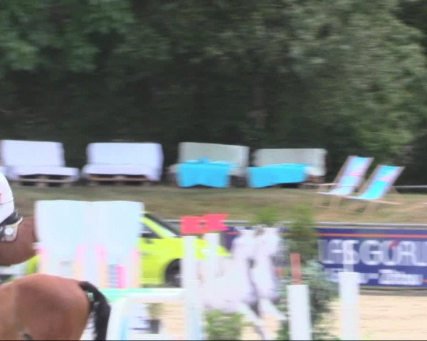 Reitturnier Görlitz 2019