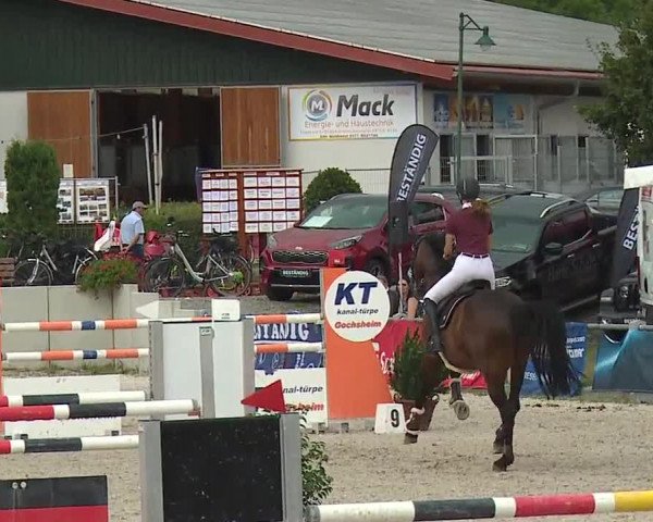Reitturnier Grafenrheinfeld 2019