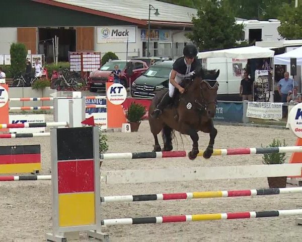 Reitturnier Grafenrheinfeld 2019
