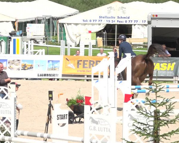Reitturnier Zuoz 2019