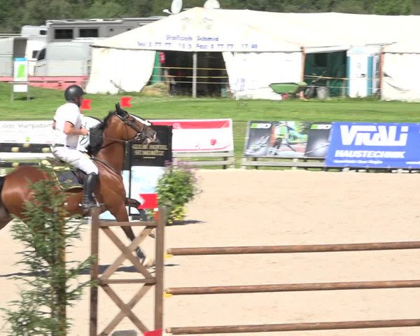 Reitturnier Zuoz 2019