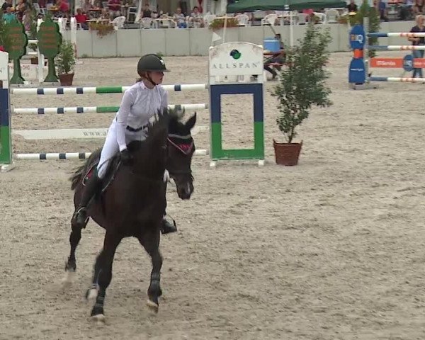 Reitturnier Grafenrheinfeld 2019