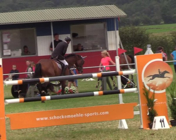 Reitturnier Behrendorf 2019