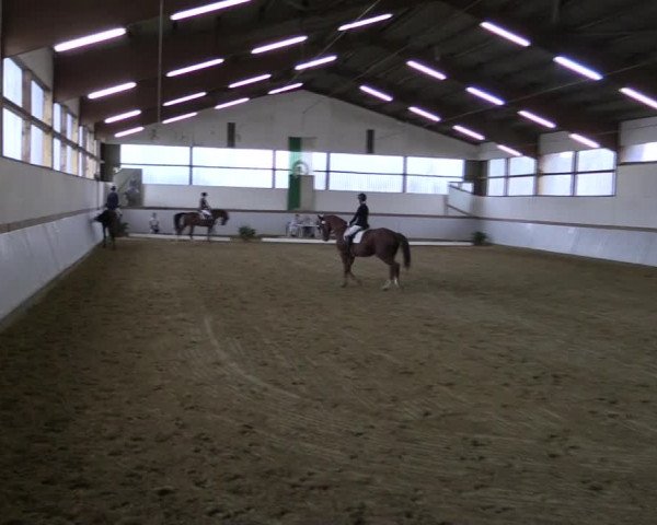 Reitturnier Waltrop 2019
