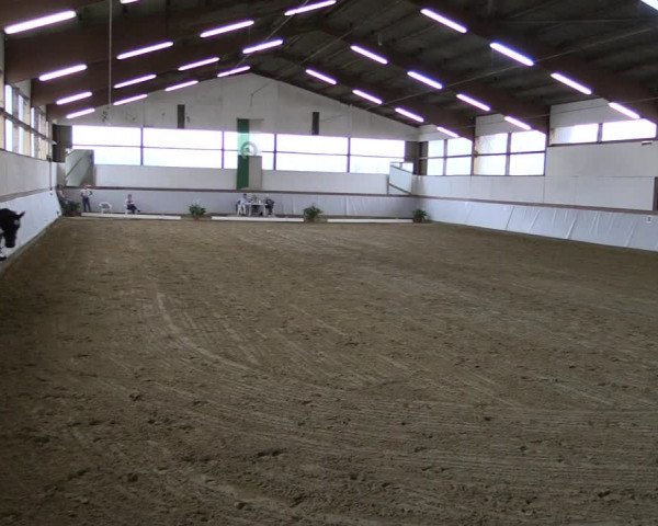 Reitturnier Waltrop 2019