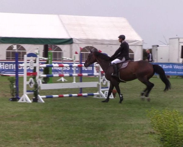 Reitturnier Behrendorf 2019
