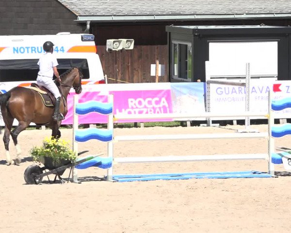Reitturnier Zuoz 2019