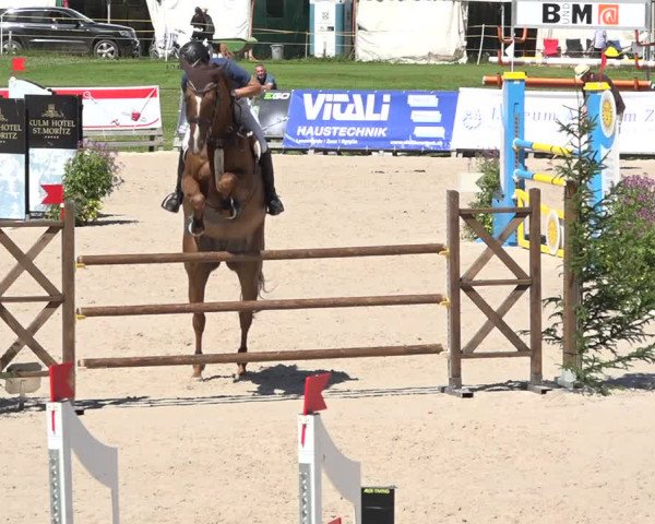 Reitturnier Zuoz 2019