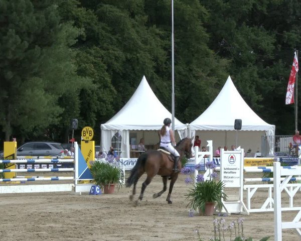 Reitturnier Waltrop 2019