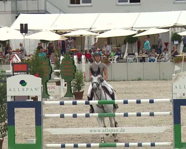 Reitturnier Grafenrheinfeld 2019