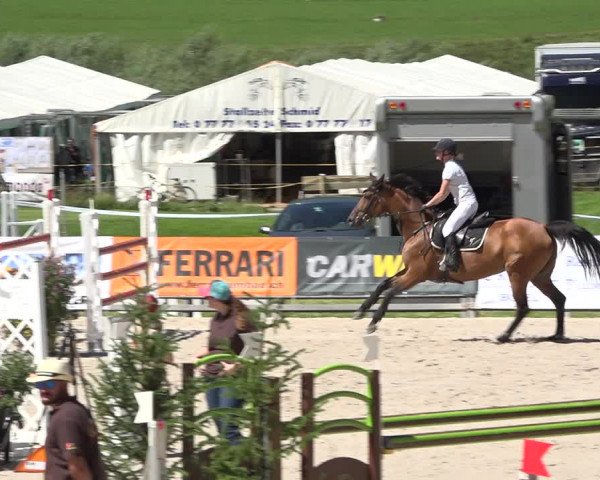 Reitturnier Zuoz 2019