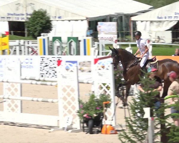 Reitturnier Zuoz 2019