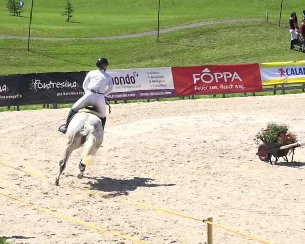 Reitturnier Zuoz 2019