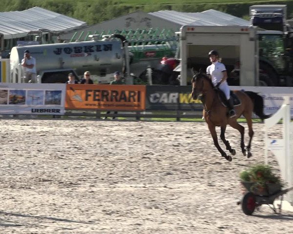 Reitturnier Zuoz 2019