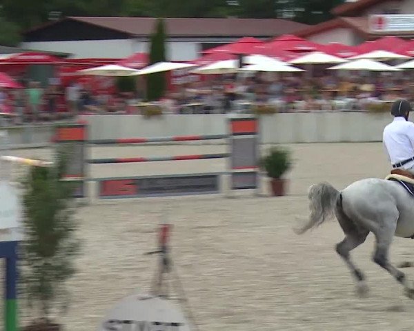 Reitturnier Grafenrheinfeld 2019