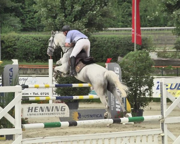 Reitturnier Oberderdingen 2019