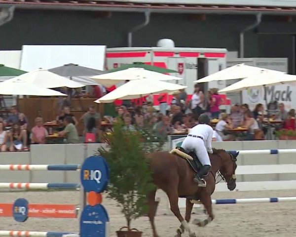 Reitturnier Grafenrheinfeld 2019