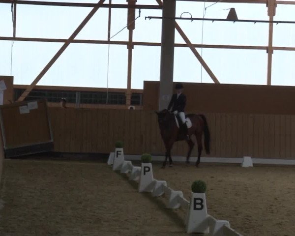 Reitturnier Grafenrheinfeld 2019