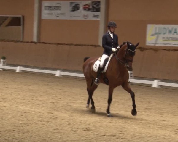 Reitturnier Grafenrheinfeld 2019