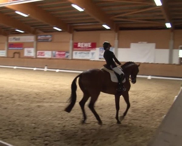 Reitturnier Grafenrheinfeld 2019