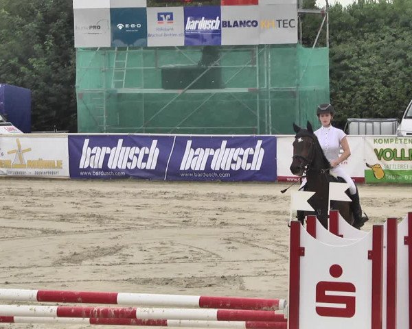 Reitturnier Oberderdingen 2019