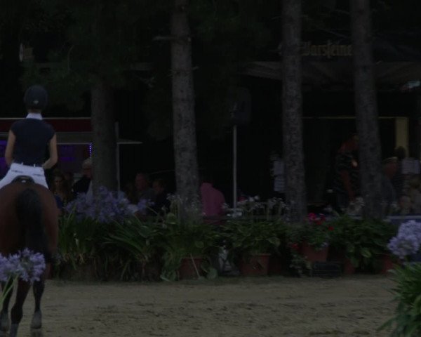 Reitturnier Waltrop 2019