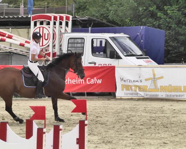 Reitturnier Oberderdingen 2019