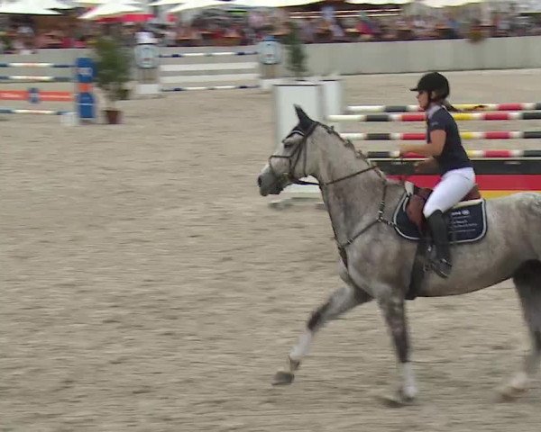 Reitturnier Grafenrheinfeld 2019