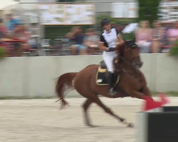 Reitturnier Grafenrheinfeld 2019