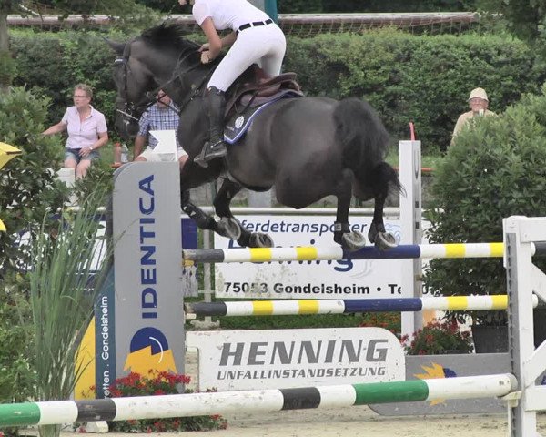 Reitturnier Oberderdingen 2019