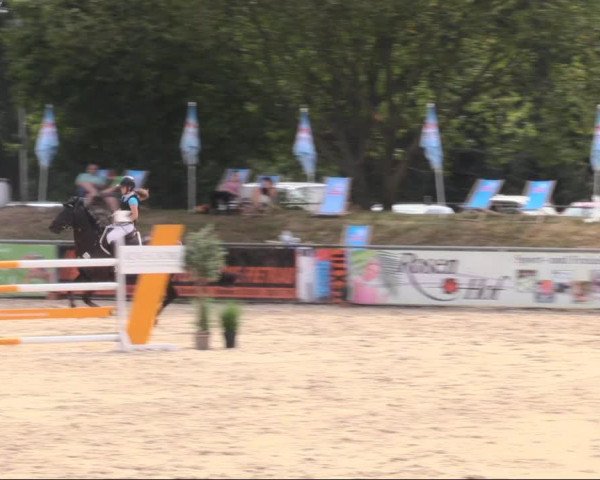 Reitturnier Görlitz 2019