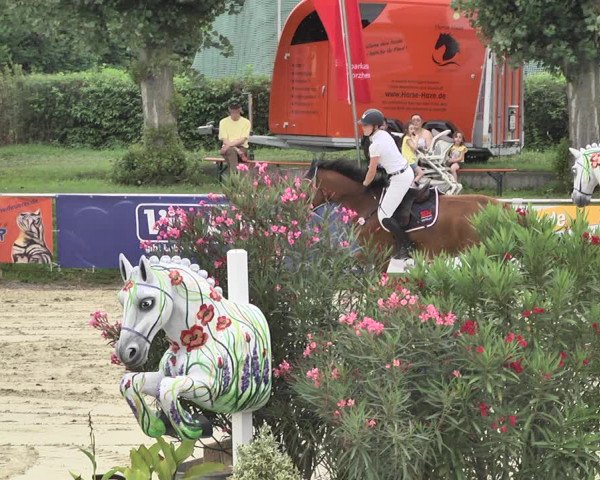 Reitturnier Oberderdingen 2019