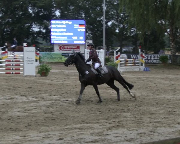 Reitturnier Waltrop 2019