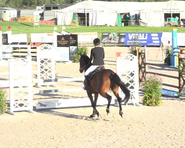 Reitturnier Zuoz 2019