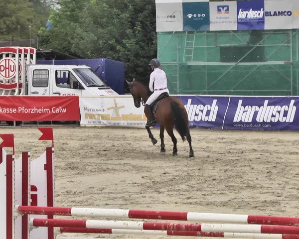 Reitturnier Oberderdingen 2019