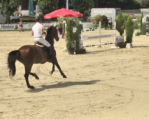 Reitturnier Oberderdingen 2019