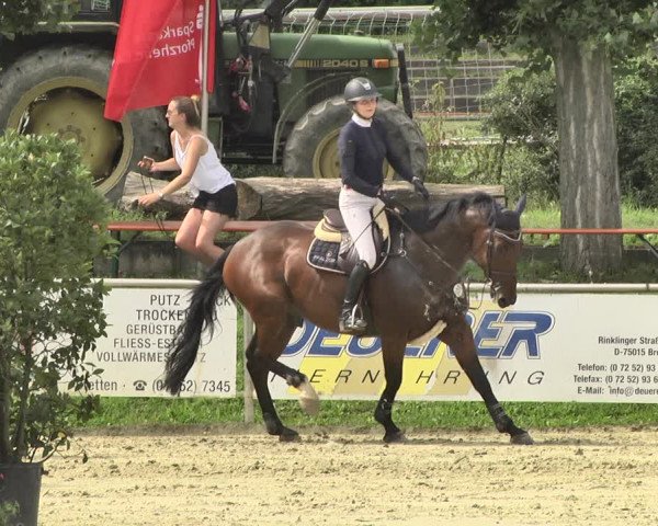 Reitturnier Oberderdingen 2019