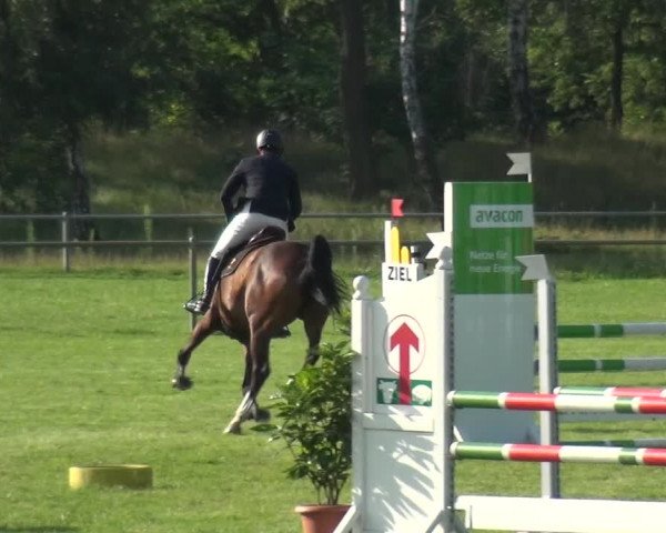 Reitturnier Gardelegen 2019