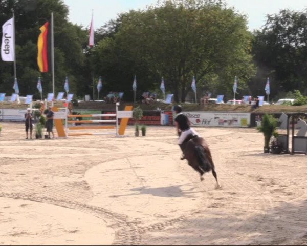 Reitturnier Görlitz 2019