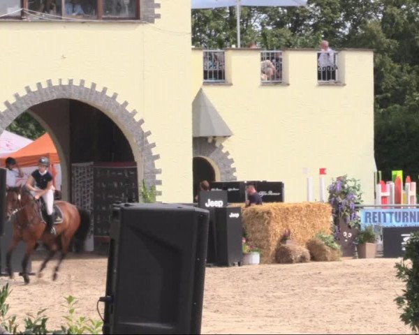 Reitturnier Görlitz 2019