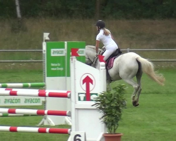 Reitturnier Gardelegen 2019