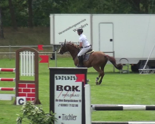 Reitturnier Gardelegen 2019
