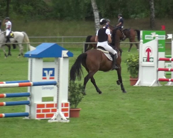 Reitturnier Gardelegen 2019