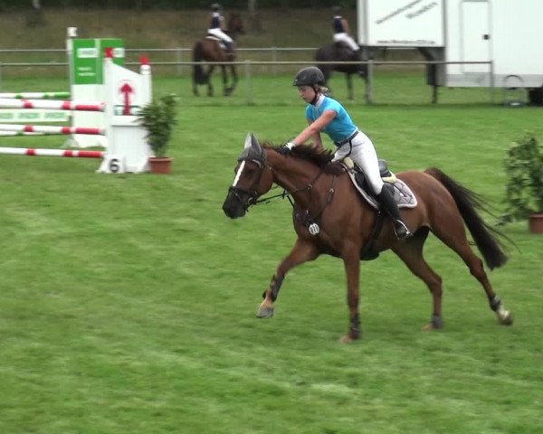 Reitturnier Gardelegen 2019