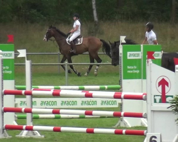 Reitturnier Gardelegen 2019