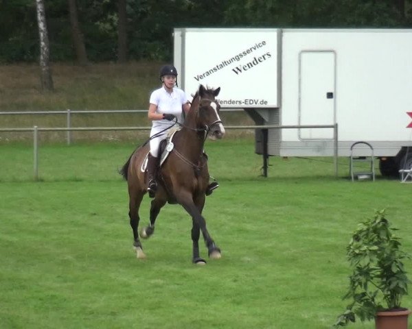 Reitturnier Gardelegen 2019