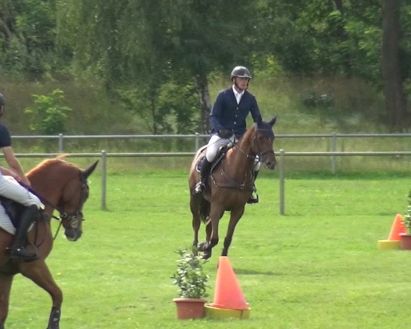 Reitturnier Gardelegen 2019