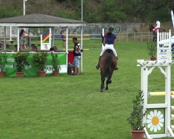 Reitturnier Gardelegen 2019